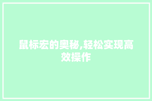 鼠标宏的奥秘,轻松实现高效操作 友链在线