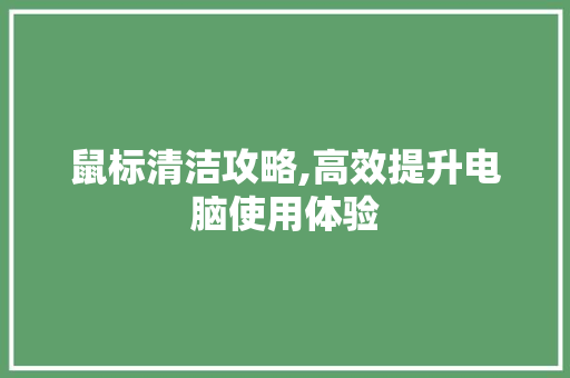 鼠标清洁攻略,高效提升电脑使用体验