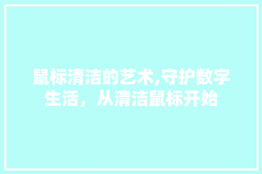 鼠标清洁的艺术,守护数字生活，从清洁鼠标开始