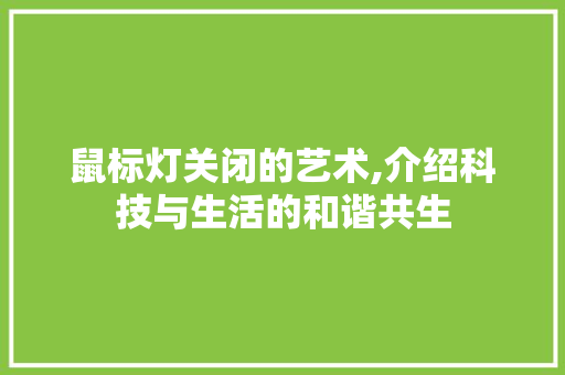 鼠标灯关闭的艺术,介绍科技与生活的和谐共生