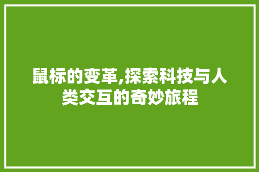 鼠标的变革,探索科技与人类交互的奇妙旅程