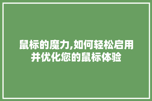 鼠标的魔力,如何轻松启用并优化您的鼠标体验