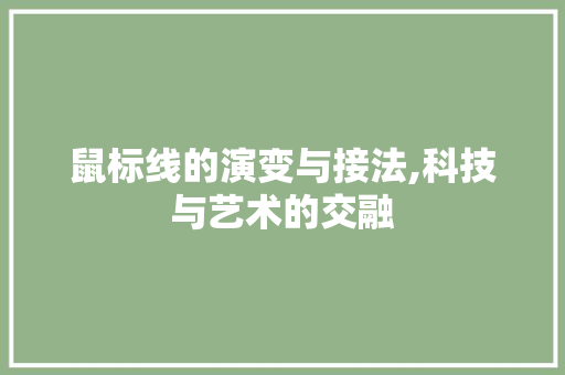 鼠标线的演变与接法,科技与艺术的交融 服务器/数据库