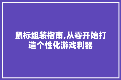 鼠标组装指南,从零开始打造个性化游戏利器 建站教程