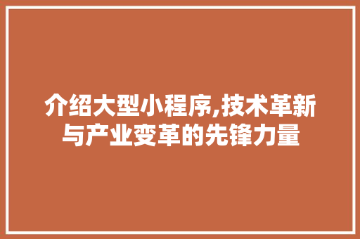 介绍大型小程序,技术革新与产业变革的先锋力量