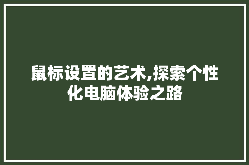 鼠标设置的艺术,探索个性化电脑体验之路