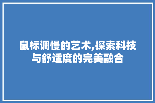 鼠标调慢的艺术,探索科技与舒适度的完美融合