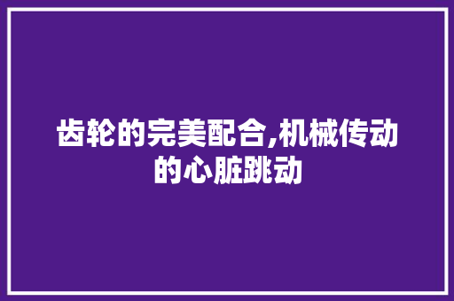 齿轮的完美配合,机械传动的心脏跳动