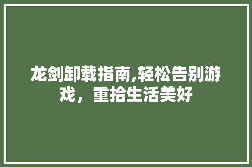 龙剑卸载指南,轻松告别游戏，重拾生活美好 Web前端