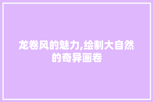 龙卷风的魅力,绘制大自然的奇异画卷