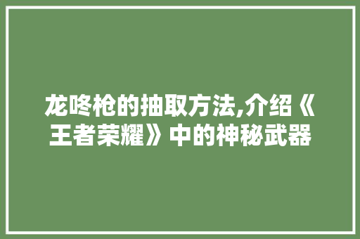 龙咚枪的抽取方法,介绍《王者荣耀》中的神秘武器