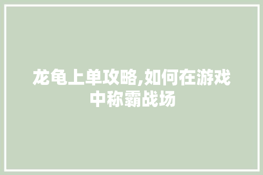 龙龟上单攻略,如何在游戏中称霸战场