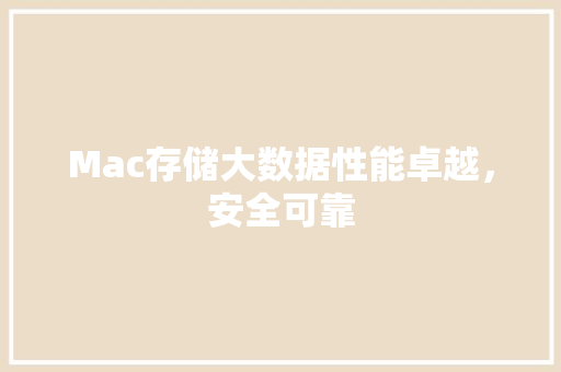 Mac存储大数据性能卓越，安全可靠