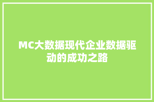 MC大数据现代企业数据驱动的成功之路