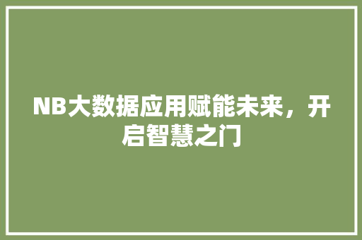 NB大数据应用赋能未来，开启智慧之门