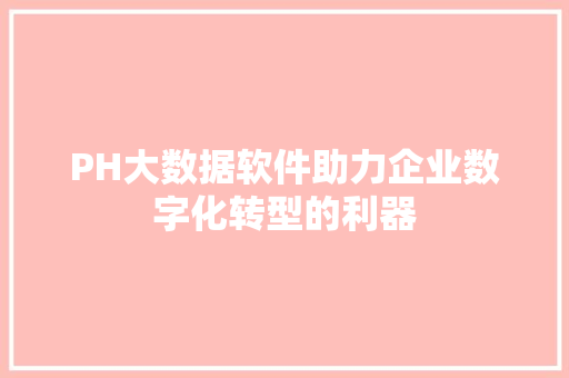 PH大数据软件助力企业数字化转型的利器