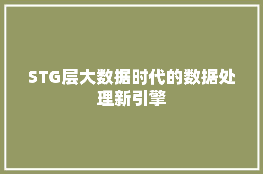 STG层大数据时代的数据处理新引擎
