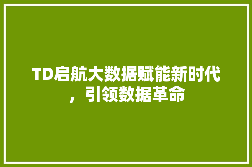 TD启航大数据赋能新时代，引领数据革命