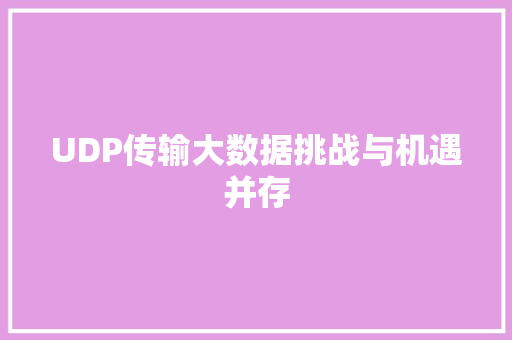 UDP传输大数据挑战与机遇并存 Web前端