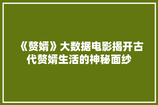 《赘婿》大数据电影揭开古代赘婿生活的神秘面纱 服务器/数据库