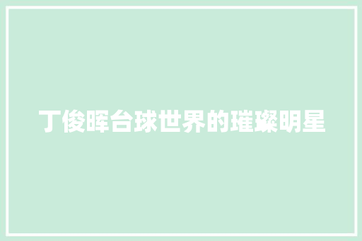 丁俊晖台球世界的璀璨明星