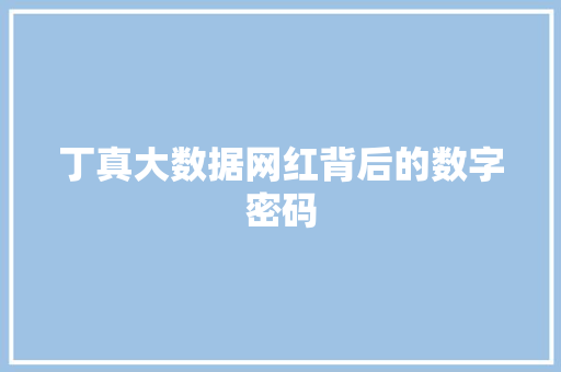 丁真大数据网红背后的数字密码 WordPress教程