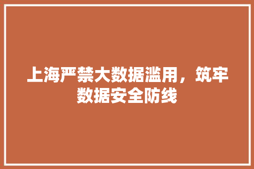 上海严禁大数据滥用，筑牢数据安全防线