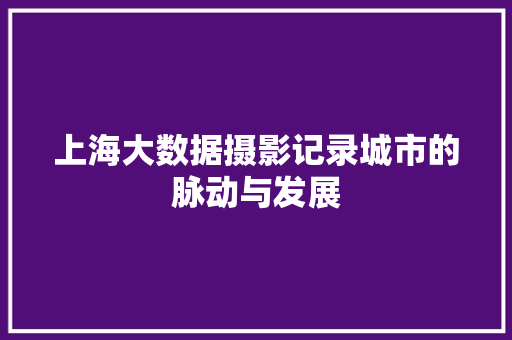 上海大数据摄影记录城市的脉动与发展