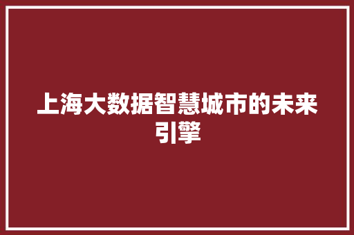 上海大数据智慧城市的未来引擎