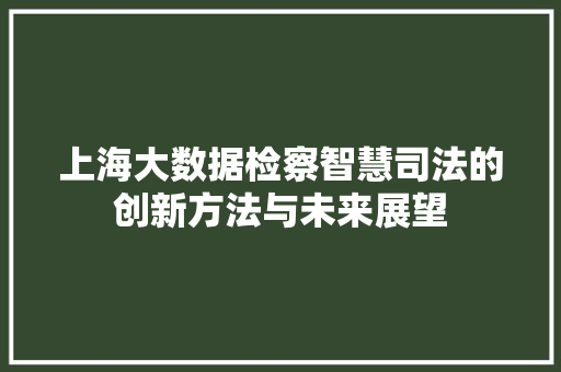 上海大数据检察智慧司法的创新方法与未来展望