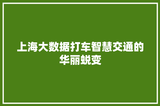 上海大数据打车智慧交通的华丽蜕变