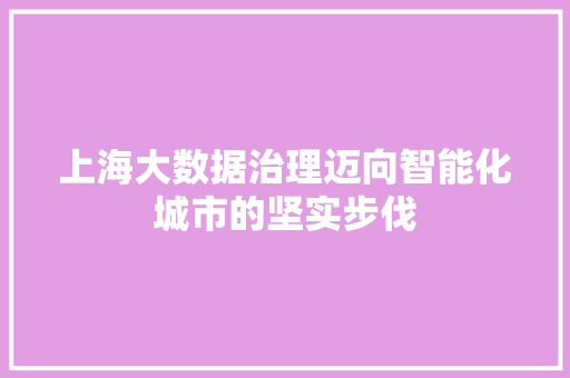 上海大数据治理迈向智能化城市的坚实步伐