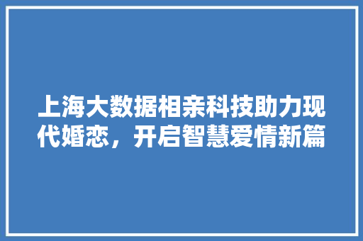 上海大数据相亲科技助力现代婚恋，开启智慧爱情新篇章