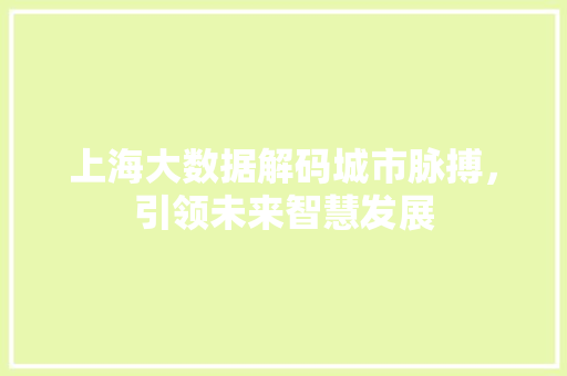 上海大数据解码城市脉搏，引领未来智慧发展