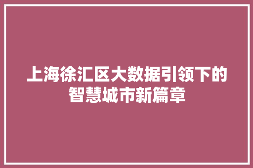 上海徐汇区大数据引领下的智慧城市新篇章