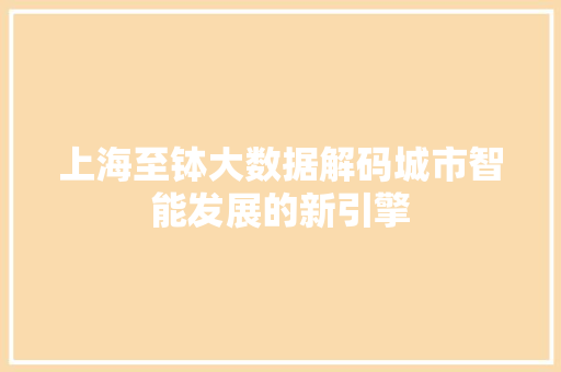 上海至钵大数据解码城市智能发展的新引擎
