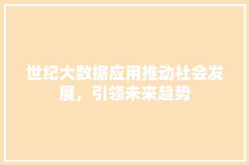 世纪大数据应用推动社会发展，引领未来趋势