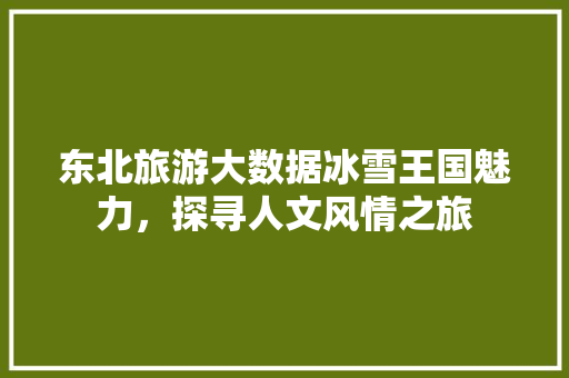 东北旅游大数据冰雪王国魅力，探寻人文风情之旅