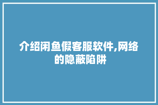 介绍闲鱼假客服软件,网络 的隐蔽陷阱