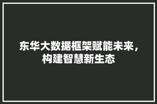 东华大数据框架赋能未来，构建智慧新生态