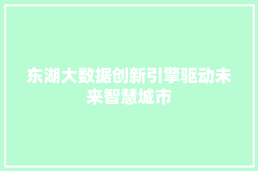 东湖大数据创新引擎驱动未来智慧城市