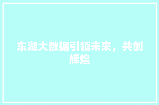 东湖大数据引领未来，共创辉煌