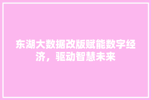 东湖大数据改版赋能数字经济，驱动智慧未来