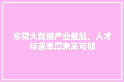 东莞大数据产业崛起，人才待遇丰厚未来可期