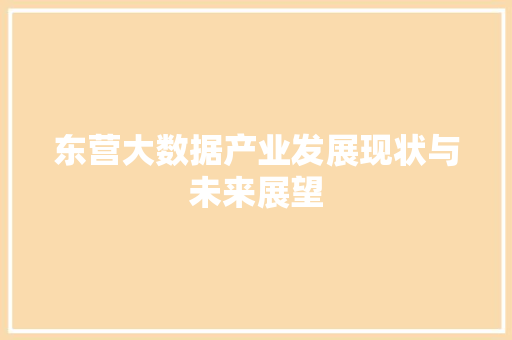 东营大数据产业发展现状与未来展望