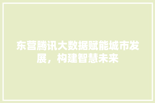 东营腾讯大数据赋能城市发展，构建智慧未来