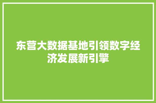 东营大数据基地引领数字经济发展新引擎