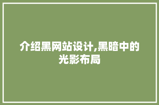 介绍黑网站设计,黑暗中的光影布局 介绍黑网站设计,黑暗中的光影布局 友链在线