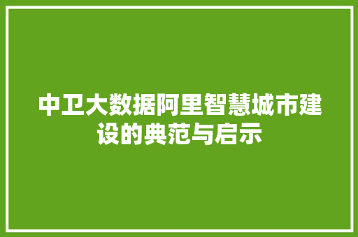 中卫大数据阿里智慧城市建设的典范与启示