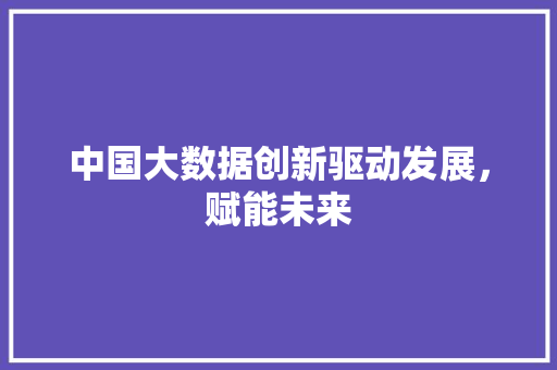 中国大数据创新驱动发展，赋能未来